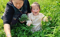 刚果金一火车脱轨致至少60人死亡